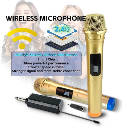 LT-125 Dual Wireless UHF Microphone System – 2 Handheld Cordless Dynamic Mics with Rechargeable Receiver