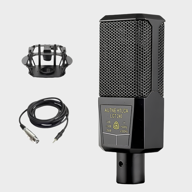 Podcast Mic