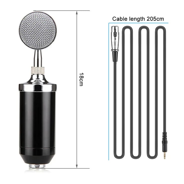 V900 Condenser Mic With Arm Stand Pop Filter Shock Mount XLR Cable