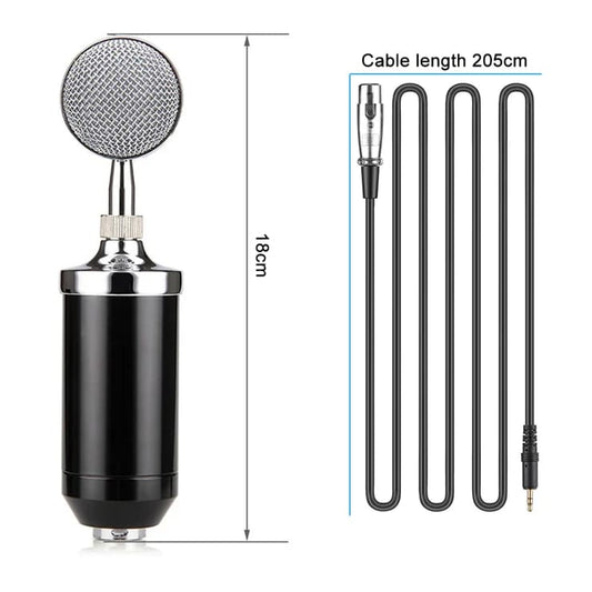 V900 Condenser Mic With Arm Stand Pop Filter Shock Mount XLR Cable
