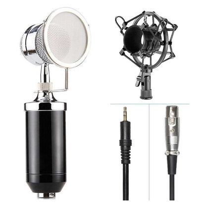 V900 Condenser Mic With Arm Stand Pop Filter Shock Mount XLR Cable