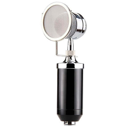 V900 Condenser Mic With Arm Stand Pop Filter Shock Mount XLR Cable